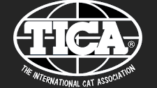 tica registered bengal breeder